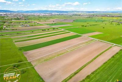 FILM! Teren intravilan industial, cu PUZ si acces la DJ112, Sfantu Gheorghe - 9