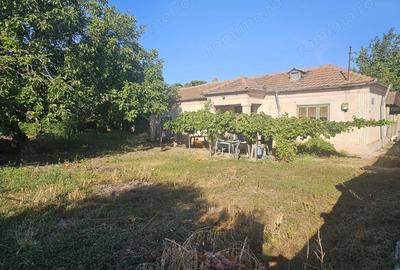 Casă în Turnu Măgurele - 7