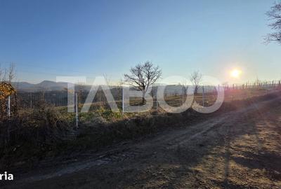 Spațiu comercial, în Loman - 2