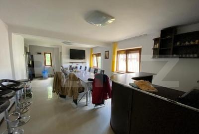 Casa cu potential turistic, 380 mp, FUNDATA - 7