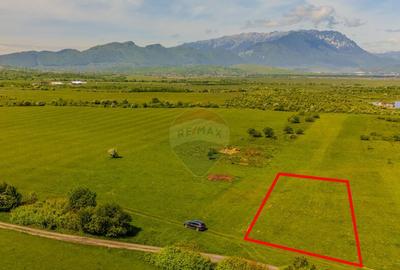 Teren 862mp Rasnov/Intravilan - 3