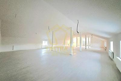 Spatiu Comercial tip Hala I Giroc - 2