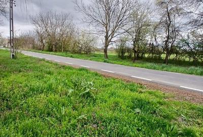 Teren de 6500 mp, în Hitiaș - 2