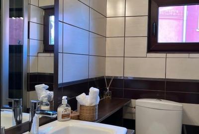 Apartament cu 2 camere decomandat, mobilat în Parcul Carol - 11