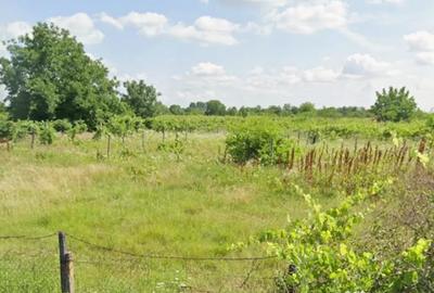 Teren de 1700 mp, în Merei - 1