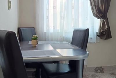 APARTAMENT CU O CAMERA-LA 5 MINUTE DE FSEGA/IULIUS MALL - 8