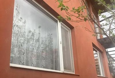 Casă cu 6 camere în Lugoj - 1