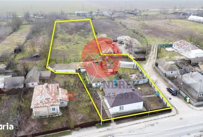 Casă cu 4 camere cu Teren 4489 Mp în Murighiol - 9
