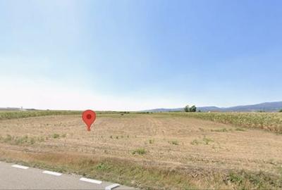 Teren de 10693 mp, în Pianu - 4