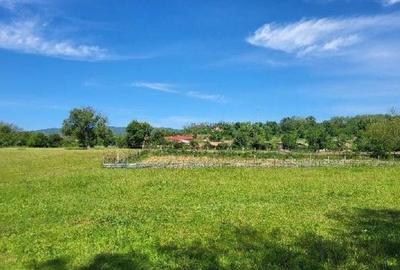 Teren de 1743 mp, în Tisău - 8