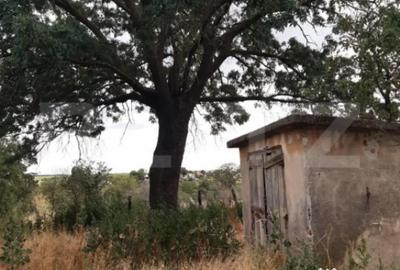 Casă cu 5 camere cu Teren 1008 Mp în Bucovăț - 10