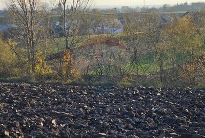 Teren de 6100 mp, în Stroiești - 1