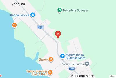 Teren Construcții intravilan de 500 mp, în Budeasa Mare - 1