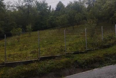 Teren de 6385.6 mp, în Berislăvești