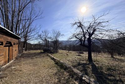 Casă individuală cu 5 camere cu Garaj în Livadea - 36