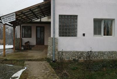 Casă cu 5 camere cu Teren 2500 Mp în Plopeni - 9