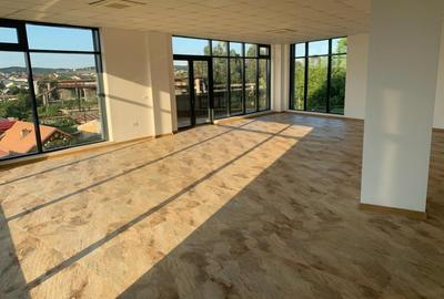 Spațiu comercial, de 385 mp, în Rovine - 1