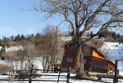 Teren de 7300 mp, în Central - 2