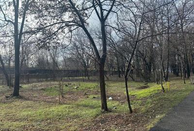 Teren intravilan de 1235 mp, în Sud - 1