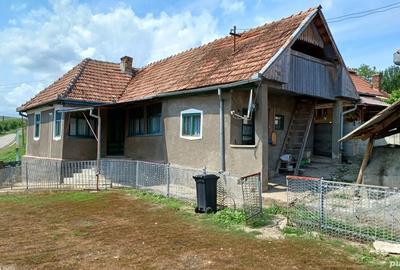 Casa cu teren 4022mp de vanzare in sat Dumbrava, com. Unirea, jud. Alba Pre? 60.000 - 1