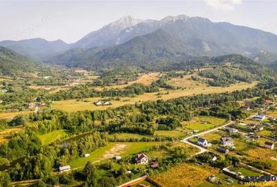 Teren de 23000 mp, în Central - 3