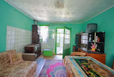 Casă individuală cu 4 camere cu Teren 901 Mp în Vadu Crișului - 13
