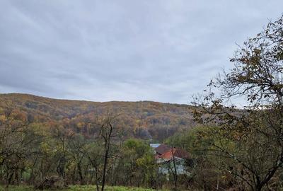 Teren de 2300 mp, în Vâlcănești - 9