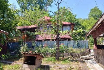 Casă cu Teren 3200 Mp în Grecești - 3