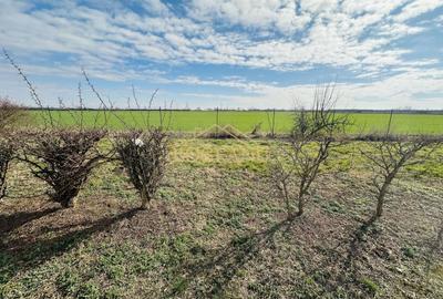 Teren agricol extravilan de 46400 mp, în Giroc - 6