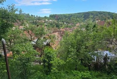 Casa de vanzare, cu o suprafata totala de 345 Mp, Sighisoara - 6