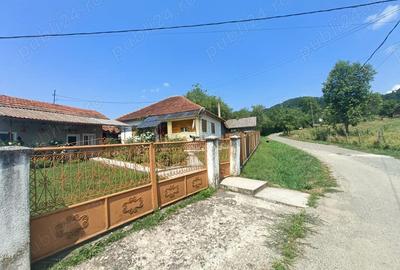 Casă în Ribița - 2