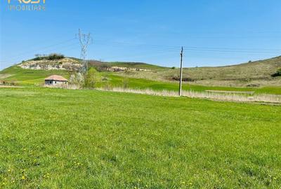 Teren intravilan de 2900 mp, în Corușu - 1