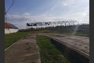 Ferma langa Oravita 5600 mp construiti si teren 24281 intravilan - 9