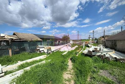 Teren de 1700 mp, în Cernica - 12