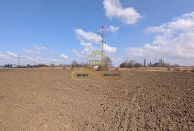 Teren de 897 mp, în Șerbănești - 4