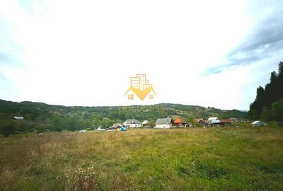 Teren intravilan, 8260mp, Front stradal 129m, Rosia Montana, Alba - 3