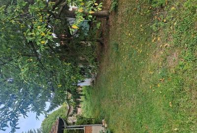 Csa 2 camere. Cosesti-Arges. - 7