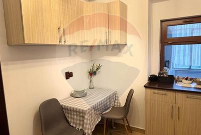 Apartament cu 2 camere de inchiriat in zona 13 Septembrie Apartament cu 2 camere de inchiriat in zona 13 Septembrie - 7