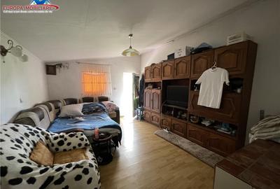 Casa de Tudor Vladimirescu Tulcea - 5