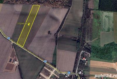 Teren de 35000 mp, în Bălteni