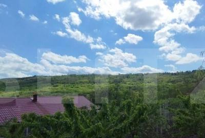 Casa+ casa vacanta, 2200 mp livada, Schitu-Duca - 6