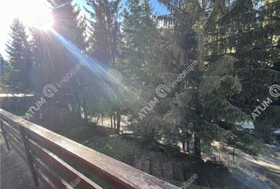 Spațiu comercial, în Paltin - 18