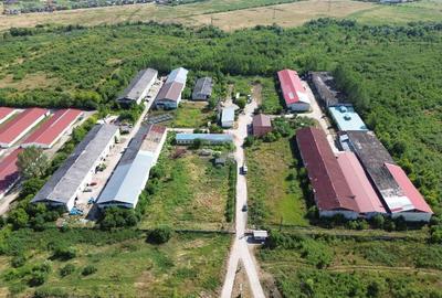 Spa?iu industrial de 120mp de inchiriat in zona Exteri... - 8