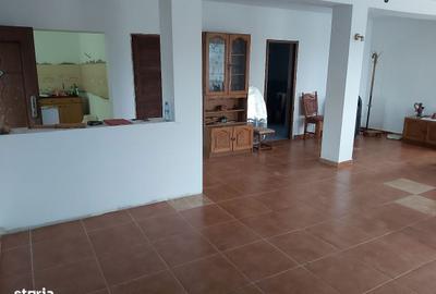 Casă cu 4 camere în Viile Satu Mare - 9