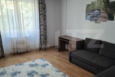 Garsonieră în Paltin - 6