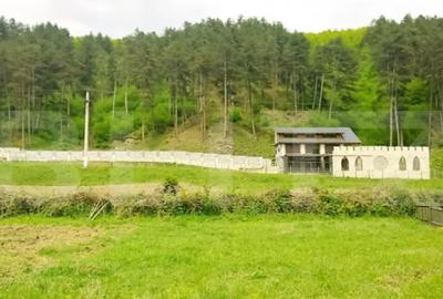 Casă cu 7 camere cu Teren 5000 Mp în Turda - 3