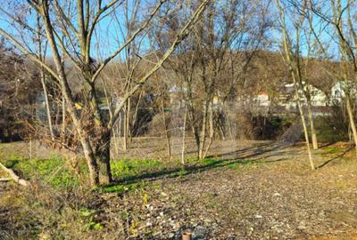 Teren intravilan 738 mp, zona Viforata, Comision 0 - 7