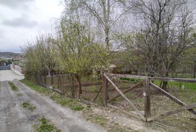Spațiu comercial, în Sălicea - 1