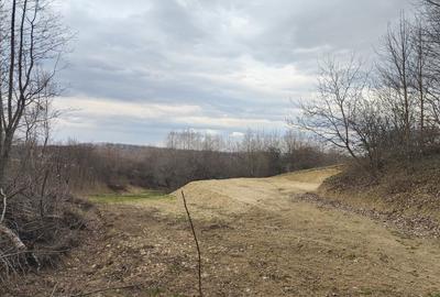Spațiu comercial, în Sibiel