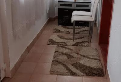 PROPRIETAR, vand casa cu 3 camere in Recas - 10